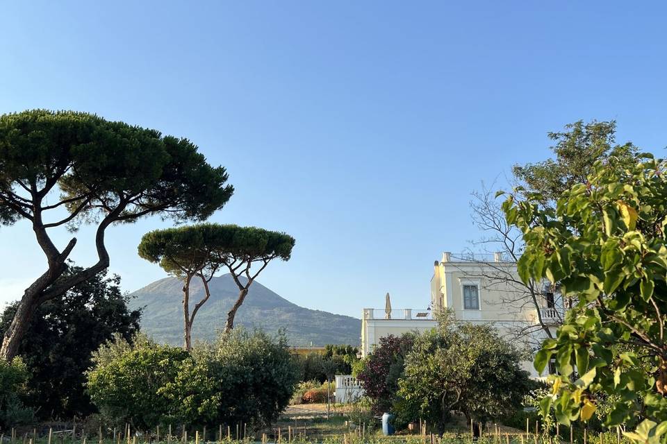 Giardino della villa