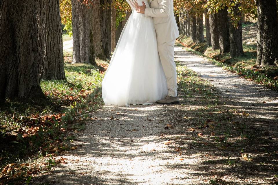 Bacio nel bosco