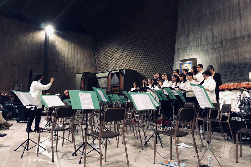 S. Cecilia 2019