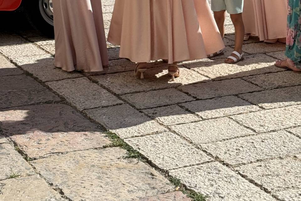 Damigelle