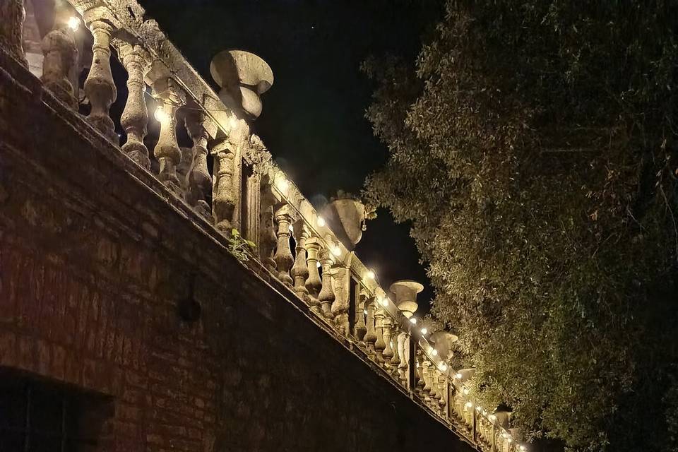 Vista boschetto leccieto