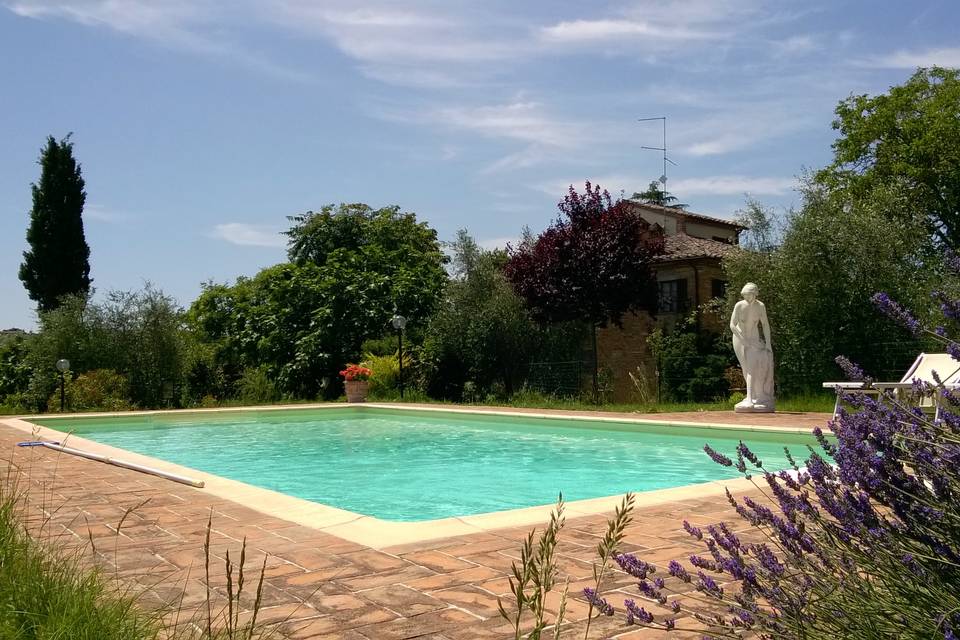 Area piscina