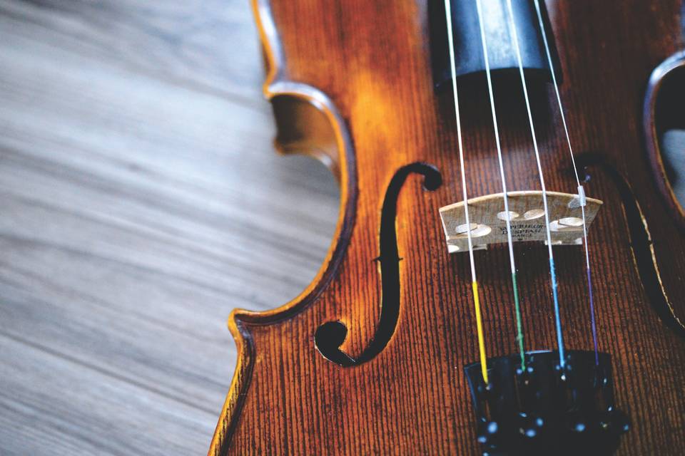 Violino