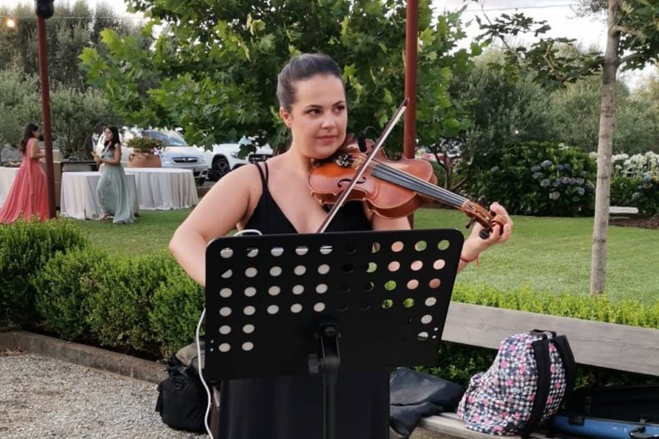Violino solo w/Ensemble Piccol