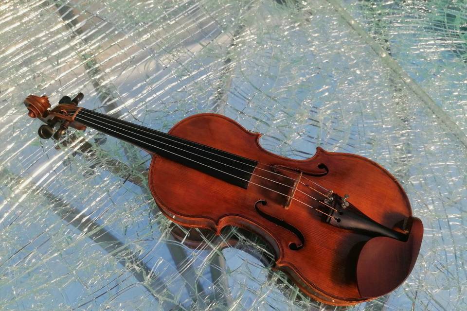 Violino Animando Live Music
