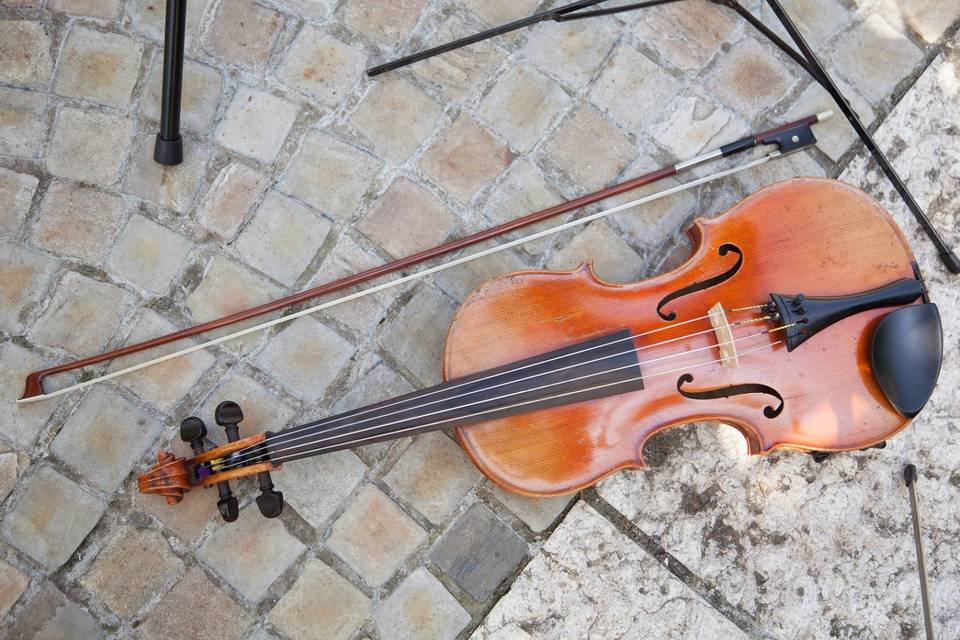 Violino