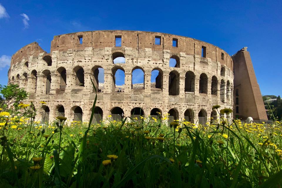 Viaggio di nozze Europa