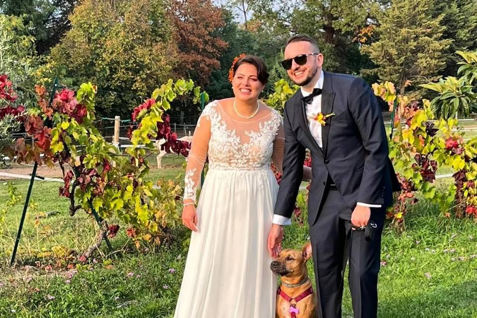 Oh my dog wedding