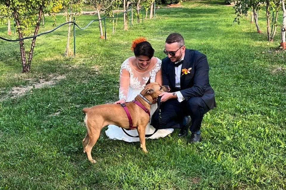 Oh my dog wedding