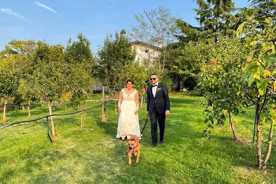 Oh my dog wedding