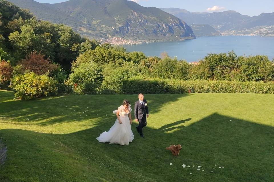 Oh my dog wedding