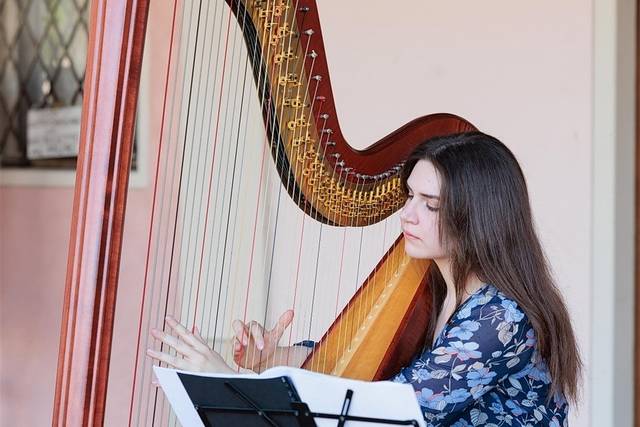 Verolanuova, Concerto