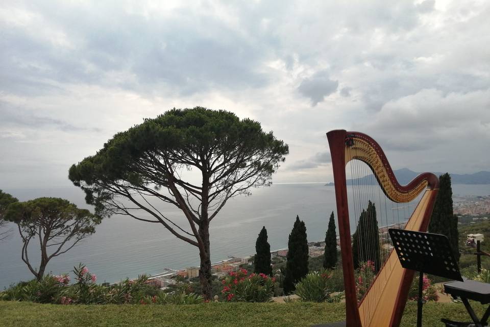 Villa Riviera, Matrimonio