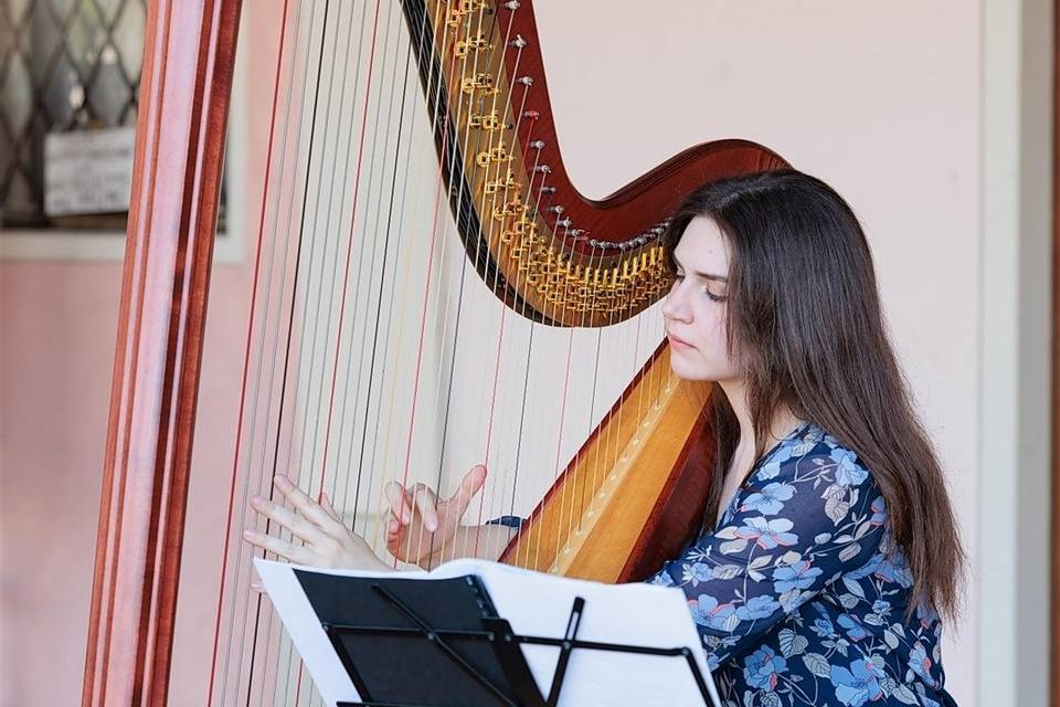Verolanuova, Concerto