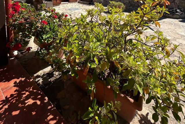 Agriturismo Sant'Agata