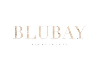 Blu Bay Logo