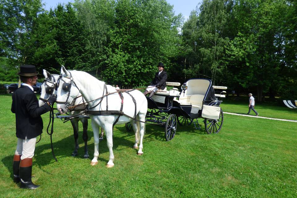 Carrozza dogi