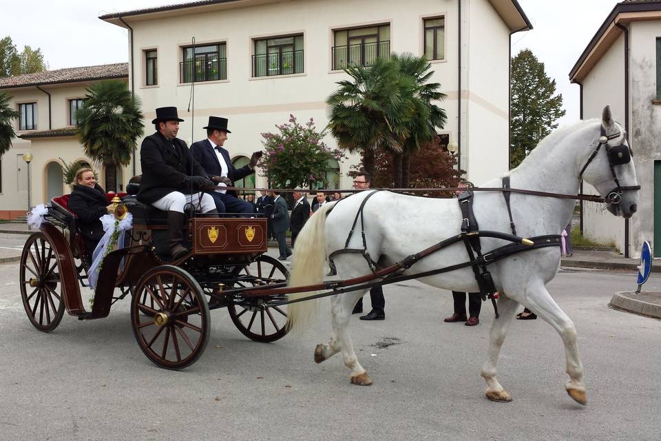 Carrozza dei dogi chiusa  700'