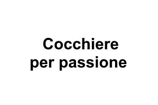 Cocchiere per passione