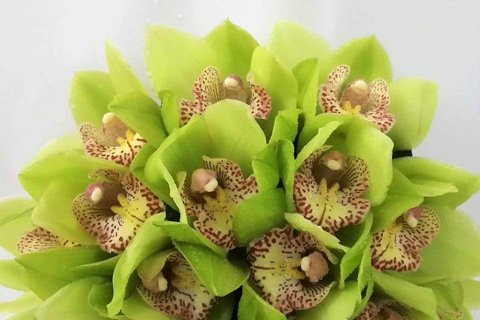 Bouquet cymbidium