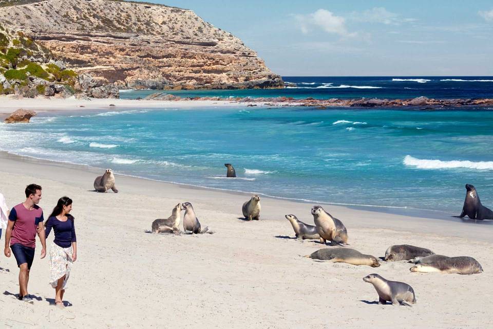 Kangaroo Island