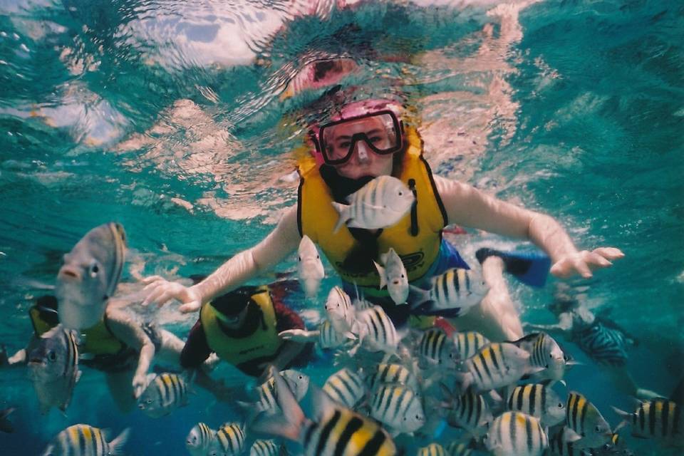 Reef snorkeling