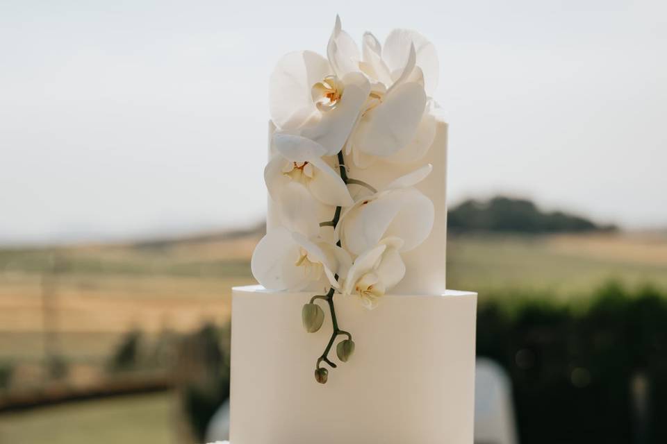 Matrimonio