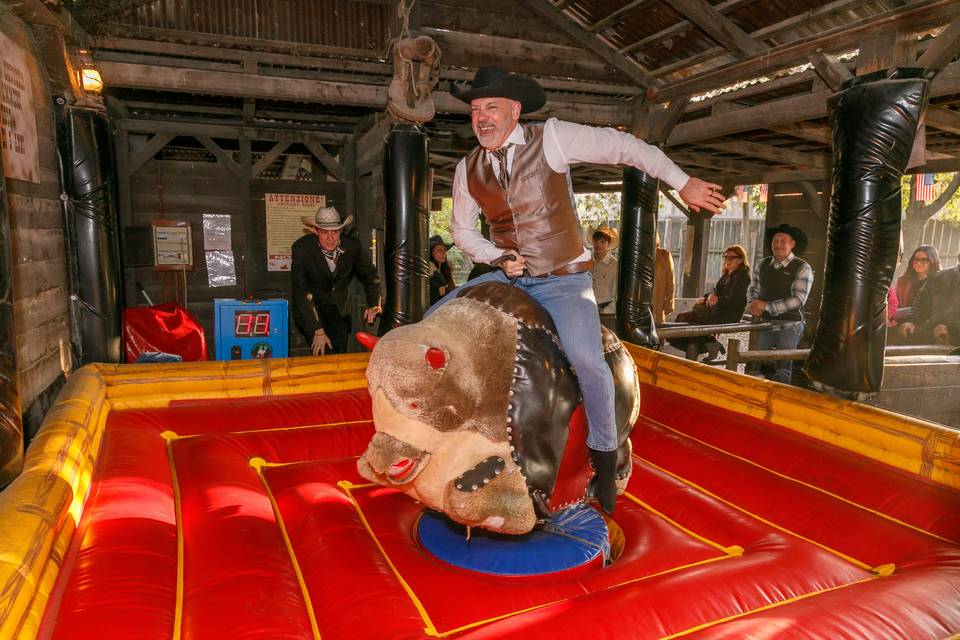 Toro meccanico
