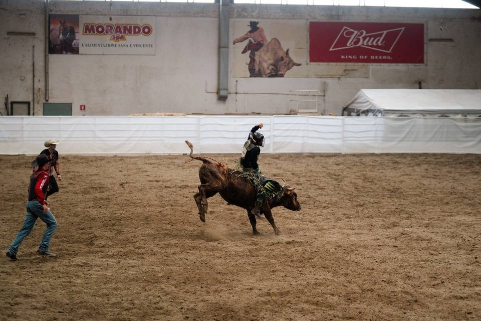 Rodeo