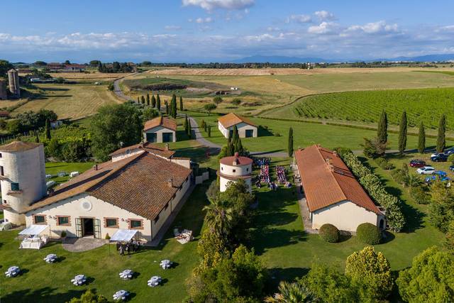 Dal drone