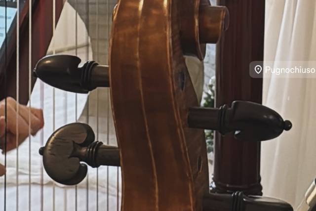 Rito civile arpa e violino