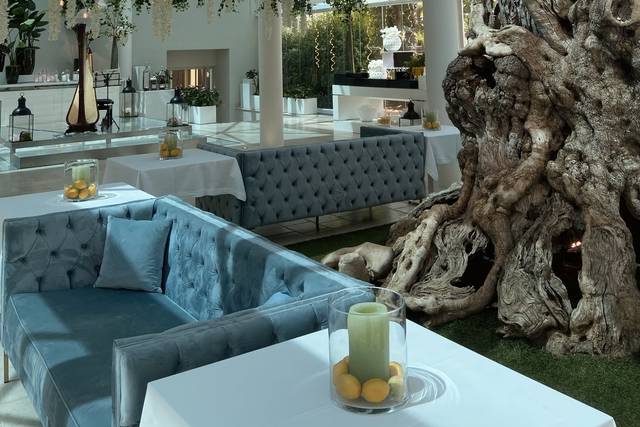 Arpa per aperitivo ricevimento