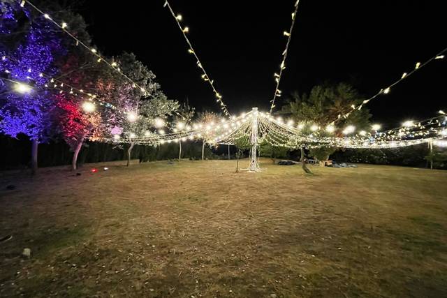 Catenarie Luminose