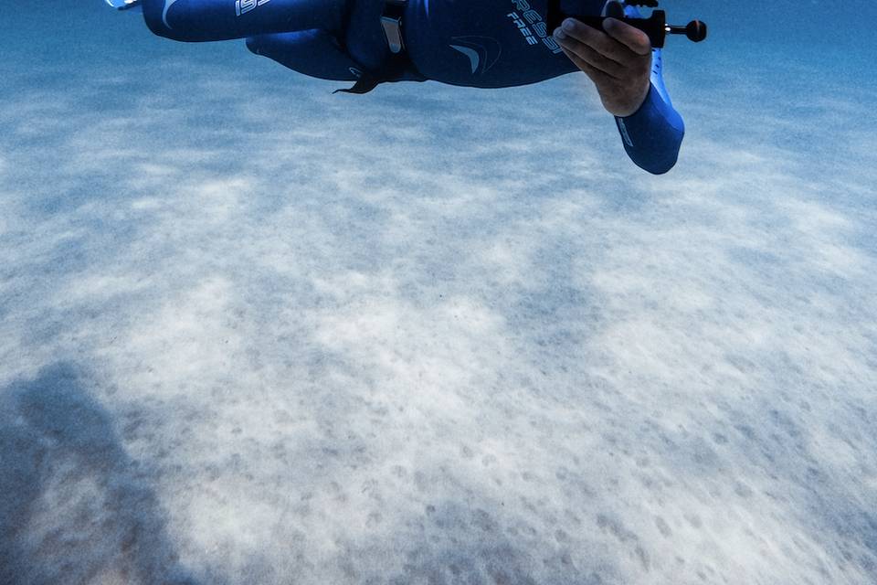Shooting subacqueo