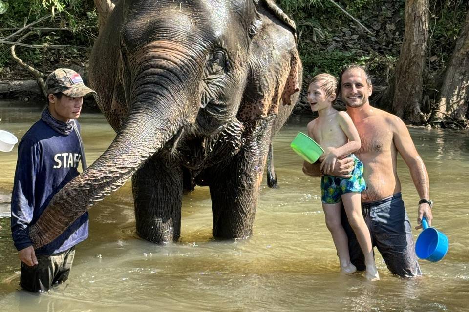 Il bagno con gli elefanti