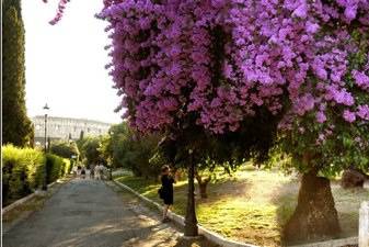 Roberto Berrettini Photography