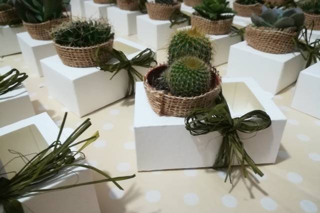 Mini Vasetti per Piante Grasse, Fiori e Cactus, Decorazione Tavola,  Accessori Tavola Ristorante, Personalizzati in Porcellana, Bomboniera -   Italia