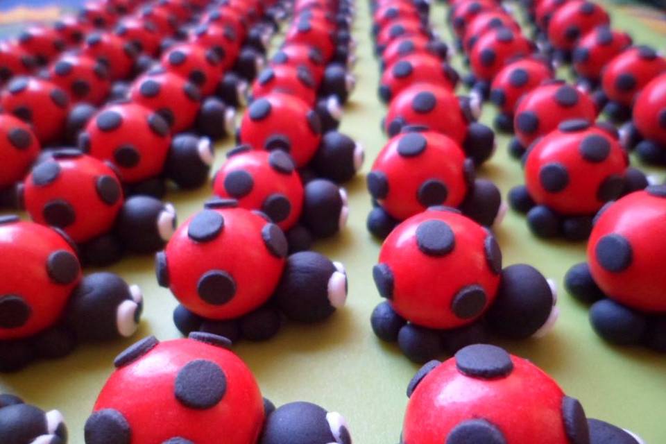 Coccinelle con confetto in pdz