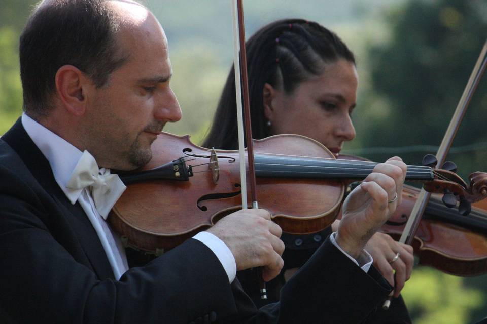 Un ensemble originale e divertente