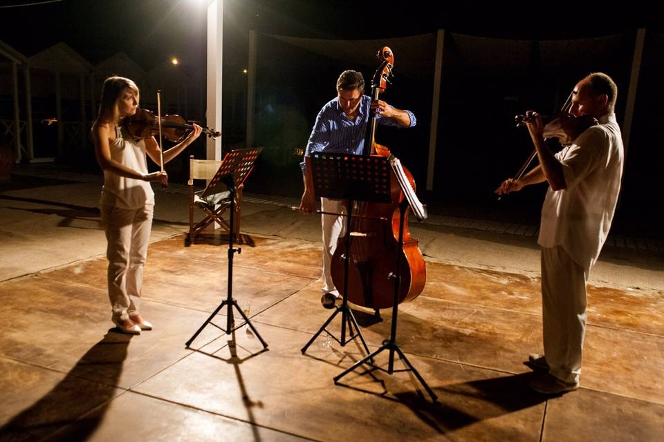 Una serenata col violino!