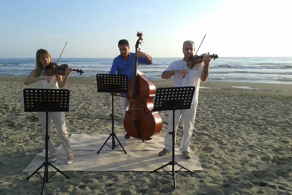 Un matrimonio sulla spiaggia.