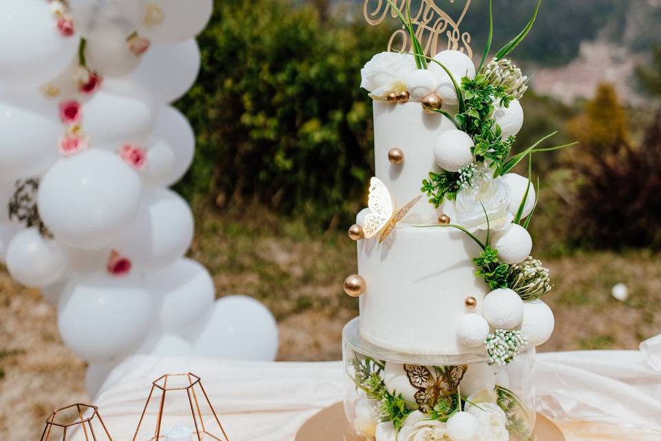 Sposi e wedding cake