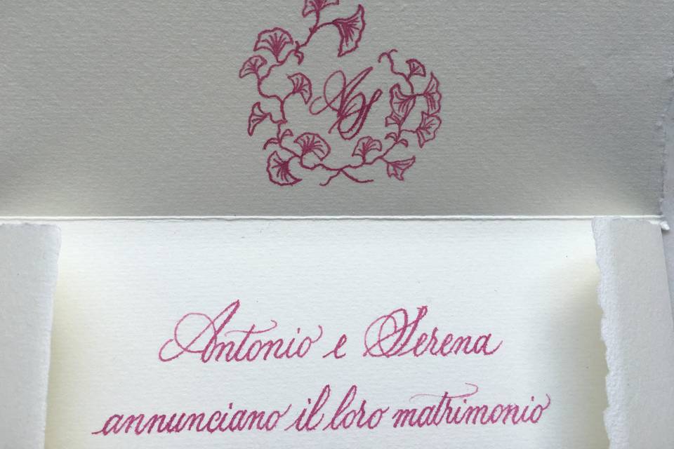 Calligrafia in fucsia