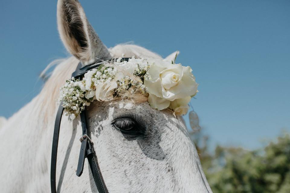 Floral horse