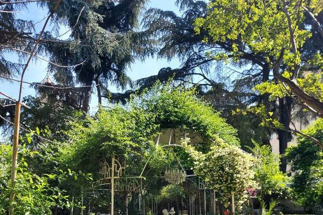Giardino