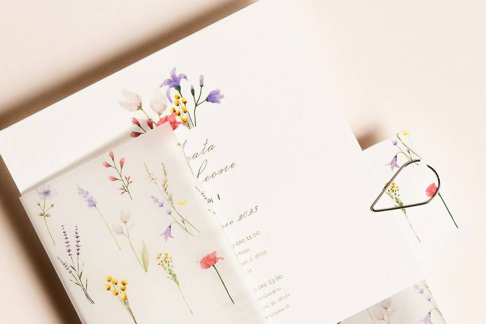 Collezione Fiori di Campo