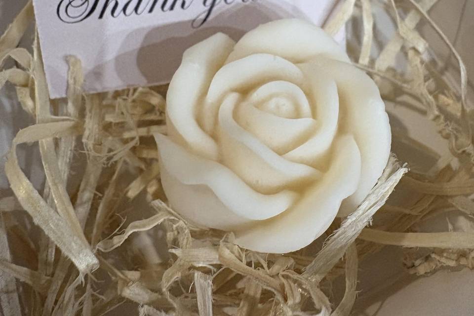 Fiorellino bianco