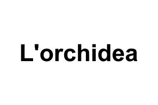 L'orchidea