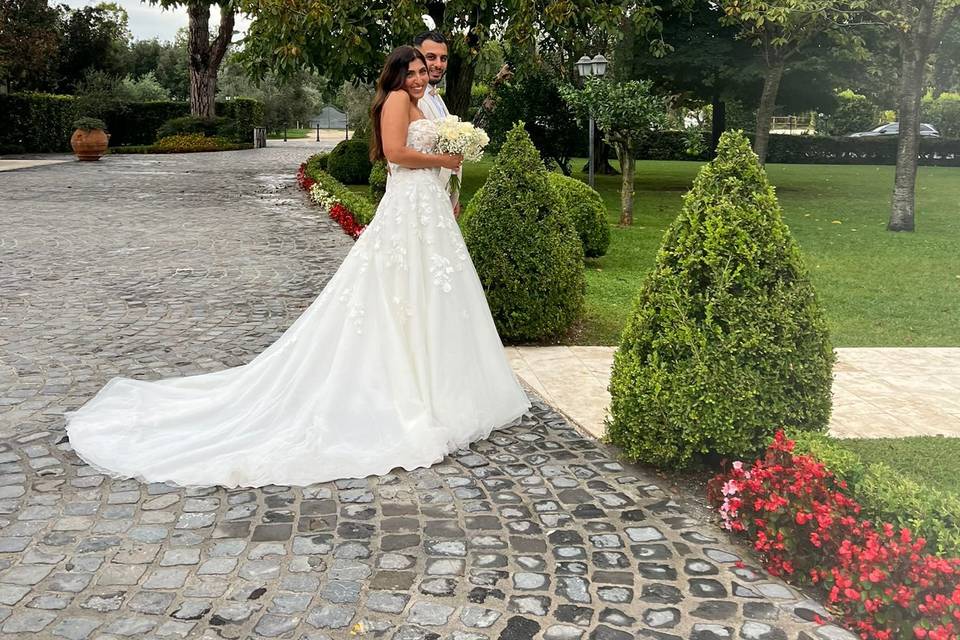 Zovina e ari