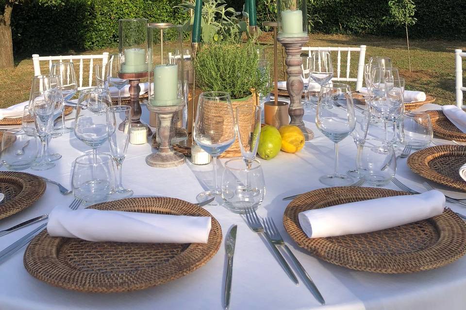 Tavolo piante aromatiche